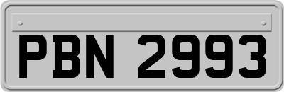 PBN2993