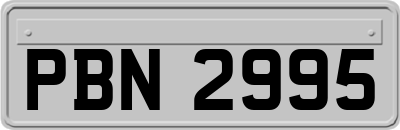 PBN2995