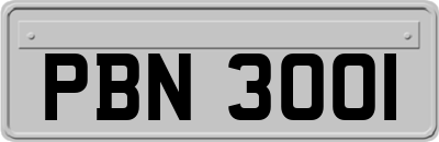 PBN3001