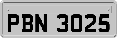 PBN3025