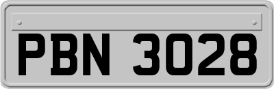 PBN3028