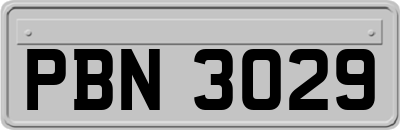 PBN3029