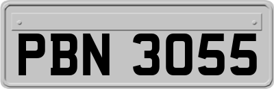 PBN3055