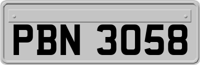 PBN3058