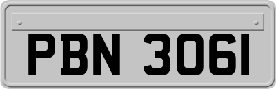 PBN3061