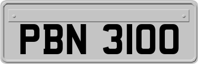 PBN3100