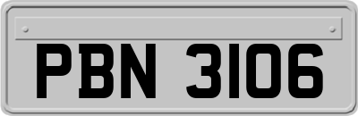 PBN3106