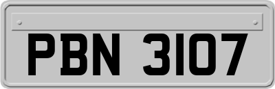 PBN3107