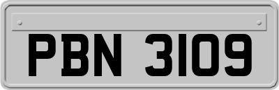 PBN3109