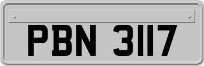 PBN3117