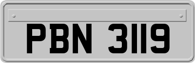 PBN3119