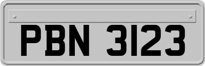 PBN3123