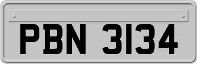 PBN3134