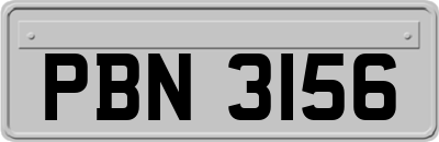 PBN3156