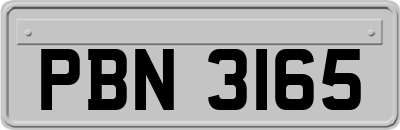 PBN3165