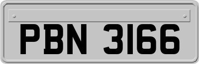 PBN3166