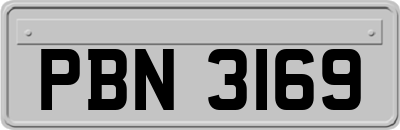 PBN3169