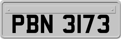 PBN3173