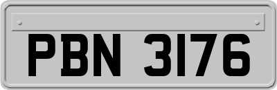 PBN3176