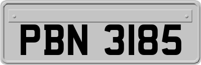 PBN3185