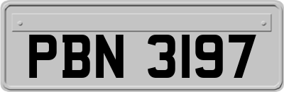 PBN3197