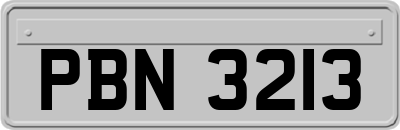 PBN3213