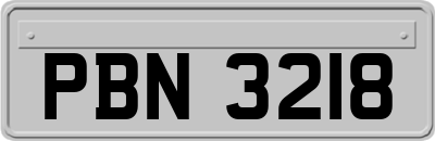 PBN3218