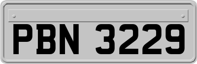 PBN3229