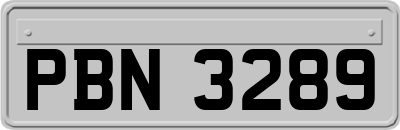 PBN3289