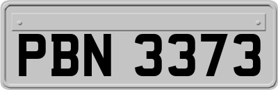 PBN3373