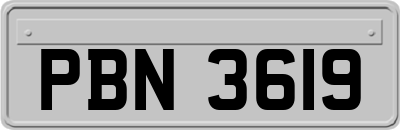 PBN3619