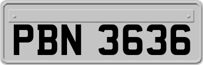 PBN3636