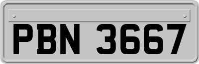 PBN3667