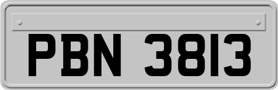 PBN3813