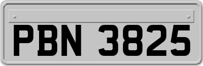 PBN3825