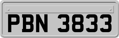 PBN3833