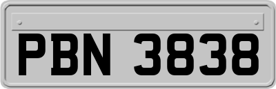 PBN3838