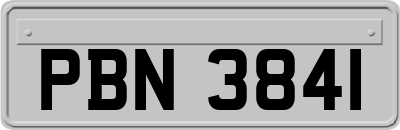 PBN3841