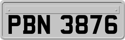 PBN3876