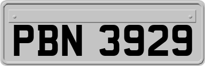 PBN3929