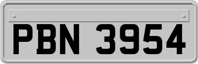 PBN3954