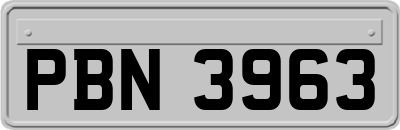 PBN3963