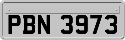 PBN3973