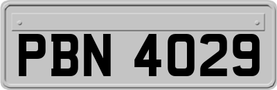 PBN4029