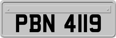 PBN4119