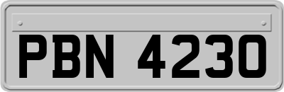 PBN4230