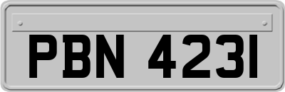 PBN4231