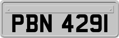 PBN4291