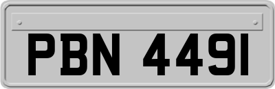 PBN4491