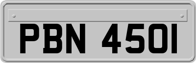 PBN4501